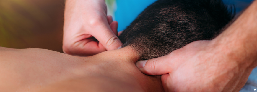 Why You Need a Registered Massage Therapist in North York